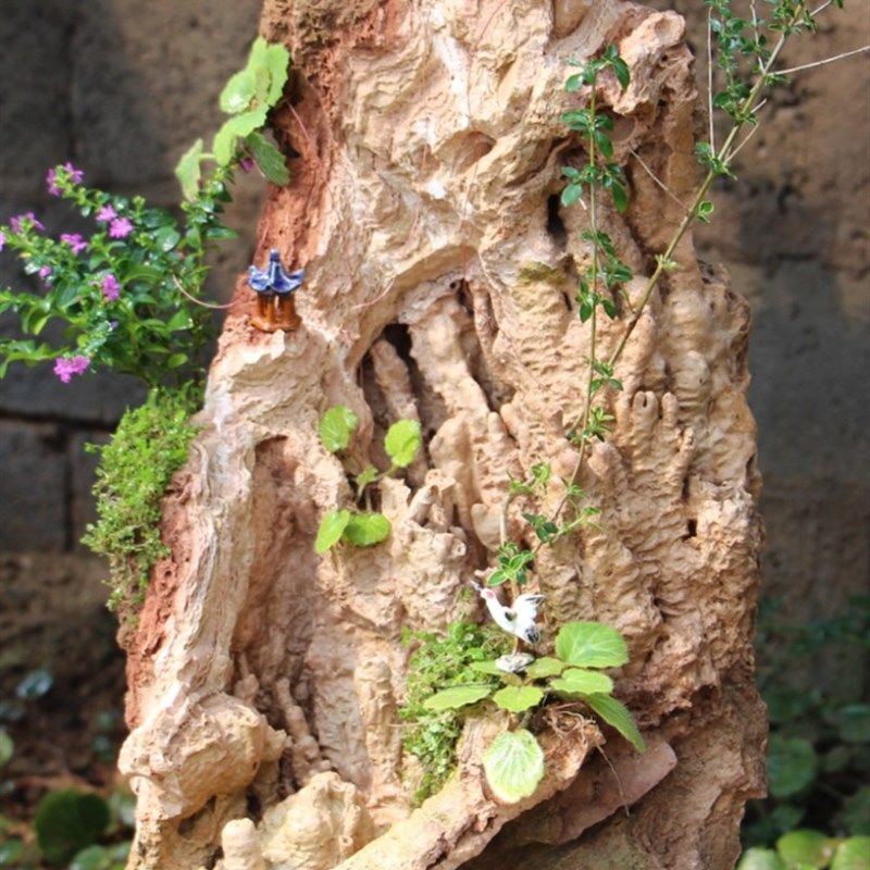 吸水石原石上水石假山盆景客厅新流水装饰摆件造景真石头爆款包邮