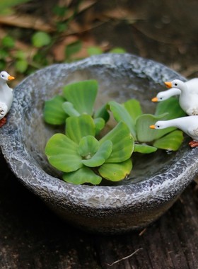 小白鸭子水培花盆一叶莲铜钱草花器庭院花园装饰摆件复古仿石臼盆