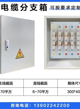 矿物电缆T接箱铜排分支接线端子分流箱bttrz国标等电位转接转换箱