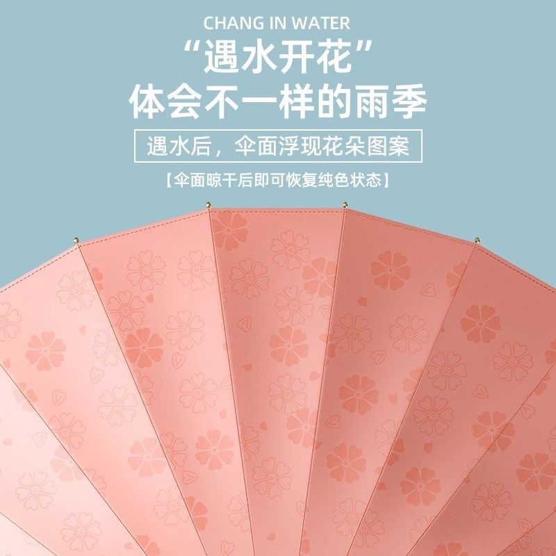 德国雨伞加大加厚加固全自动24骨遇水开花长柄女双人抗风暴长柄伞