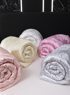 无印独白2025新款提花蚕蛹蛋白被子保暖春秋被被芯单双人学生FN