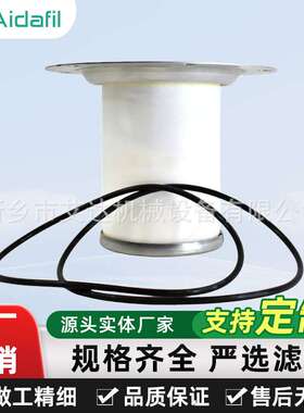 空压机油分替代2901196300实体大厂