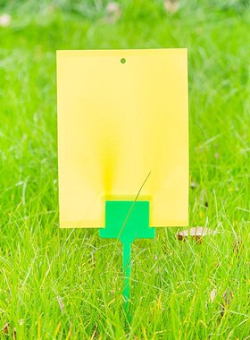 双面粘虫板诱虫板黄色灭小飞虫果蝇针蜂粘板蓟马大棚黏虫园艺扎线