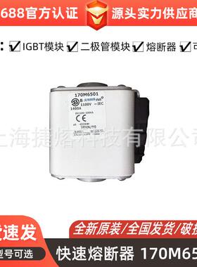 170M6501 170M6540 快速熔断器 保险丝 电子元器件 量大价优