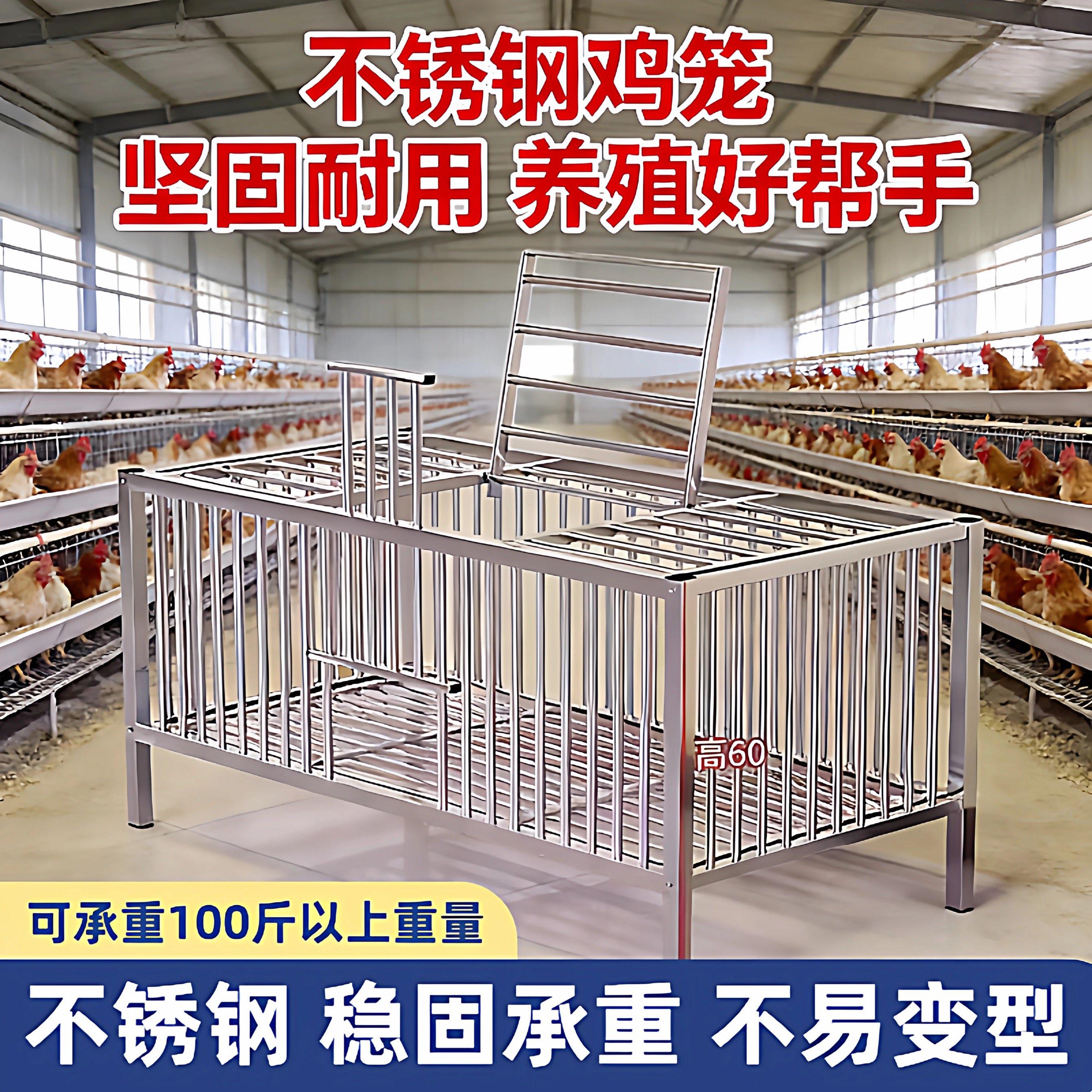 不锈钢鸡笼加粗家用兔子笼室外室内阳台大号养鸡笼农村家庭鸽子笼