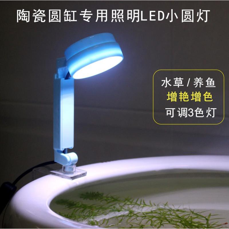圆形鱼缸专用照明LED小灯光鱼盆落地水缸造景水草灯防水装饰圆灯图片