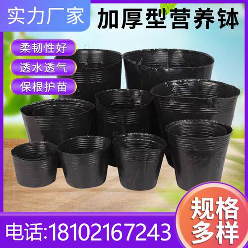 营养钵育苗盆一次性大号育苗专用营养杯育苗杯加厚营养杯袋育苗袋