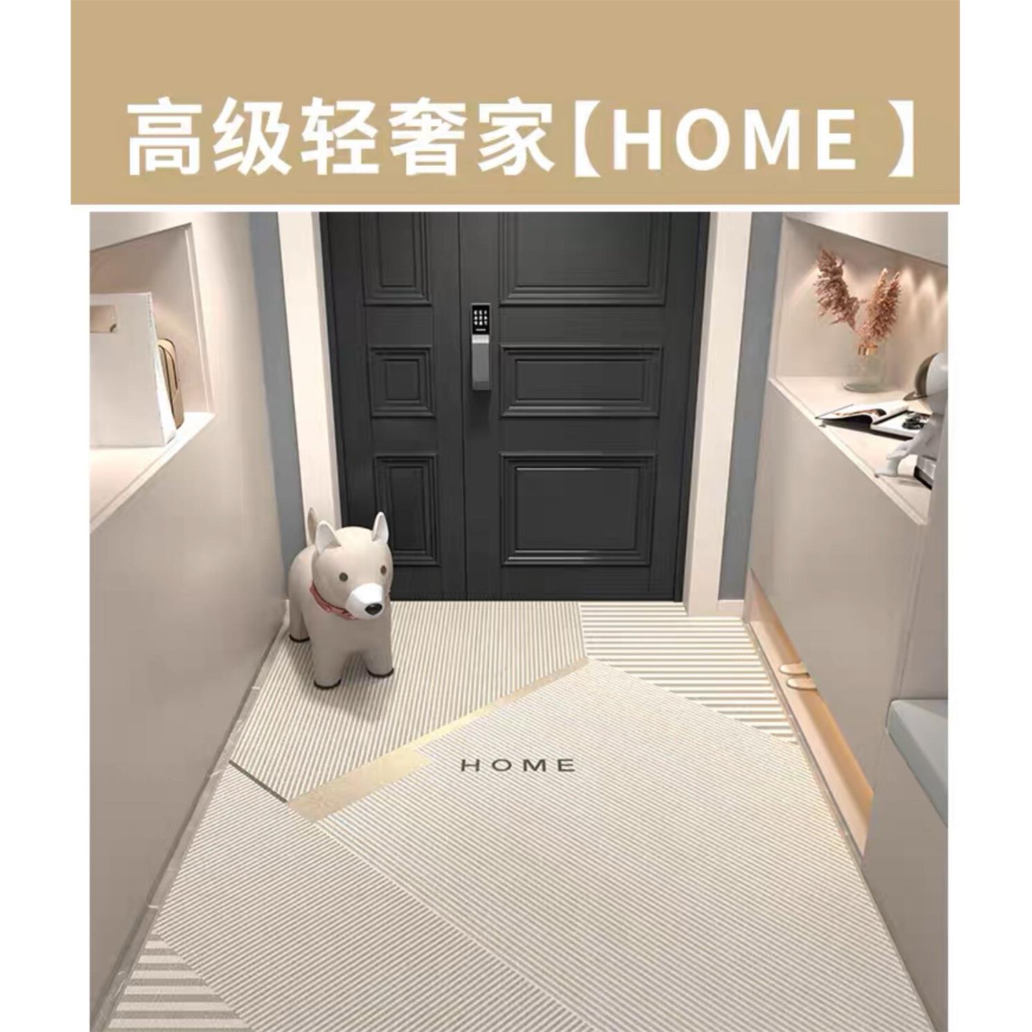 地垫入户门进门门垫入门客厅入户地毯轻奢耐脏高级玄关简约