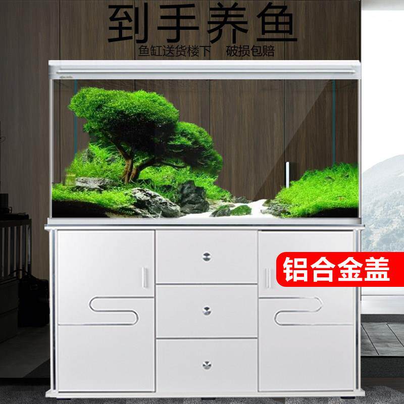 西龙鱼缸水族箱中型客厅家用自循环创意玻璃超白鱼缸上过滤免换水