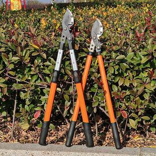 园林果树修枝剪高UUR空树枝粗枝伸缩加强大剪齿剪轮助力大力粗枝
