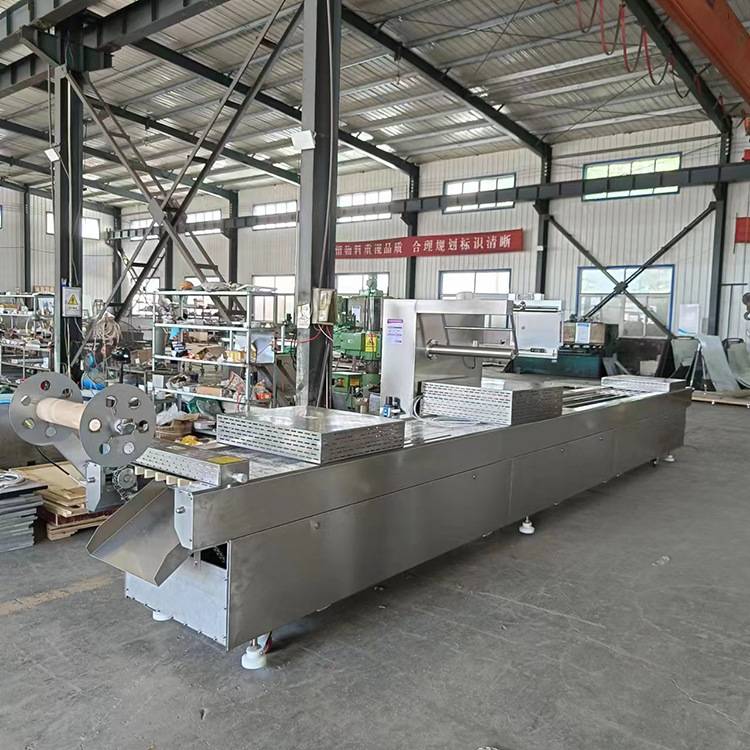 豆腐干拉伸膜真空包装机 全自动连续式真空封口机 牛排真空包装机