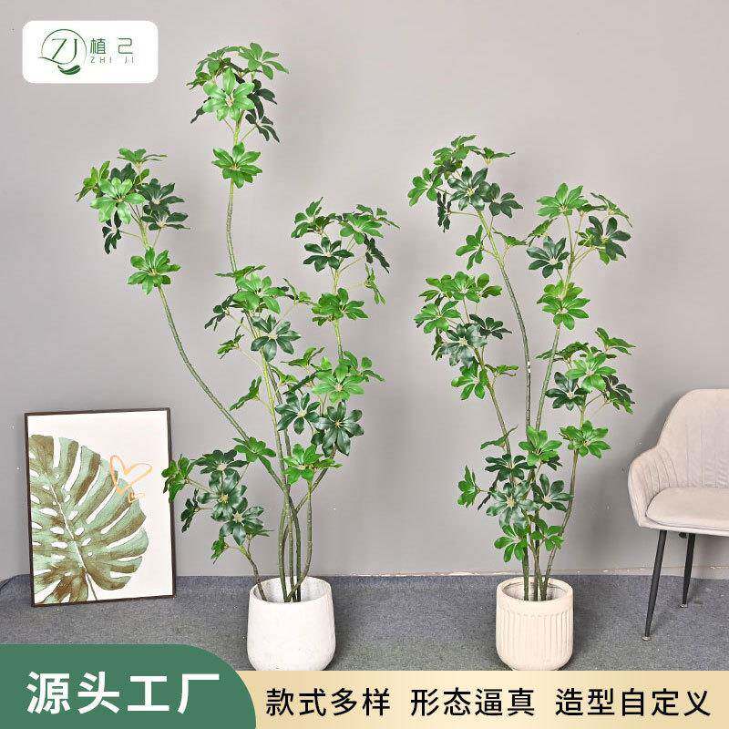 仿真绿植鸭脚木轻奢室内家居橱窗大型落地植物装饰树盆栽鸭脚木