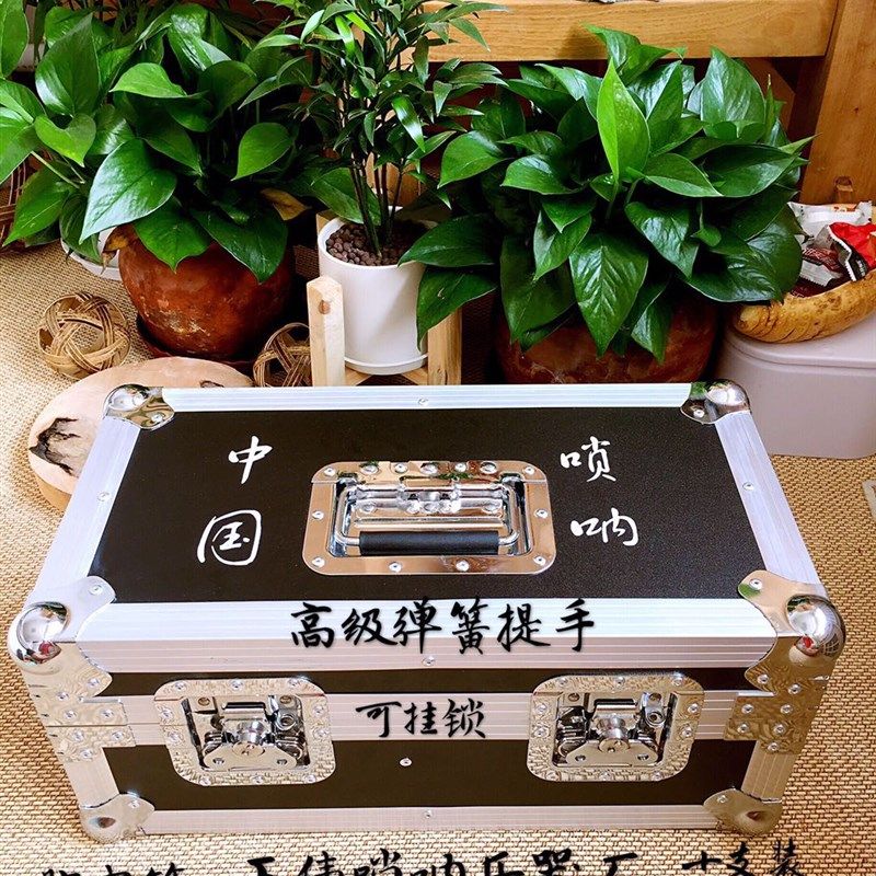 唢呐航空箱铝合金唢呐手提箱子唢呐包十支装乐器盒喇叭箱包包邮