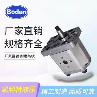 D36 D16 D28 D10 D30C1L3 D25 D12 D22 Boden齿轮泵BHP2A0D18 D20