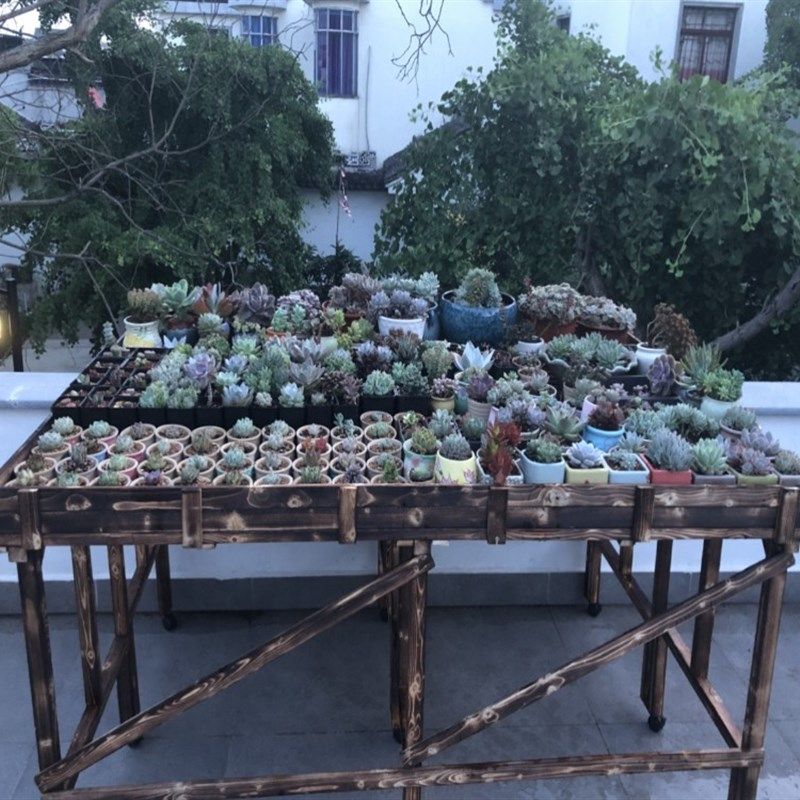 阳台实木多功能置物架碳化防腐多肉植物好承重通风花架子20省包邮