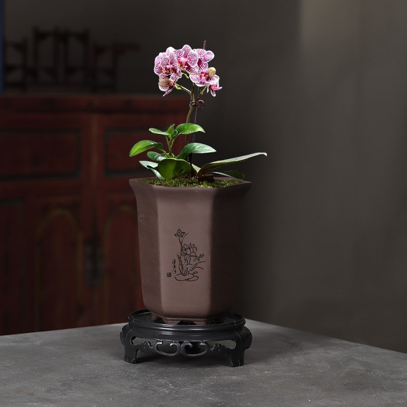 紫砂六方兰花盆多肉花卉植物六方形盆景盆陶瓷花盆桌面六角带托盘
