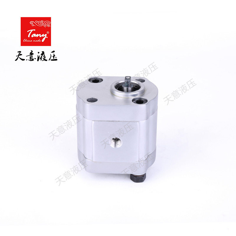 供应高压齿轮油泵CBN-F2010机床润滑小型液压系统专用齿轮泵