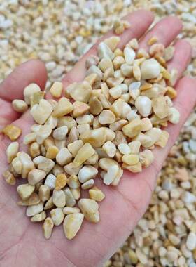 黄石厂家铺MYE路黄金卵石金造黄色洗米石胶黏园林庭院景铺石路石