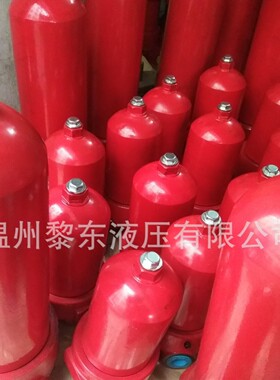 黎东液压DFBN/HC30/60/110/140G10W5C1X/L24油压过滤器管式液压
