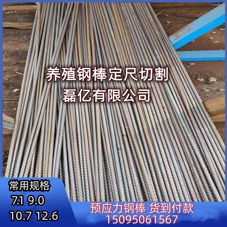 养殖场漏粪板专用钢棒加工定尺长短10.7 12.6耐腐蚀养猪pc钢棒厂,畜牧/养殖物资,漏粪板,淘宝优惠券,粉丝福利购,淘宝优惠卷