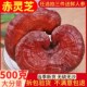 长白山正品 灵芝野生干货整枝赤灵芝整朵林芝泡酒茶煲汤专用可切片