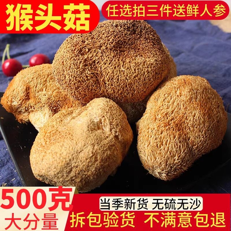 猴头菇干货新东北野生可打养胃粉纯补品食品长白山猴头菌煲汤猴菇