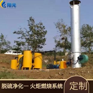 外燃沼气火炬 不见明火封闭式火炬 沼气燃烧系统尾气排放