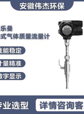 EM9700热式气体质量流量计插入式流量计engelmann管道式