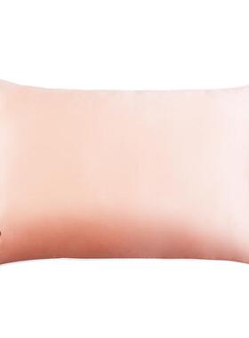 送枕芯】儿童真宝丝枕套 桑丝蚕 十二生肖ZSZT10A【丝绸 卡通宝枕