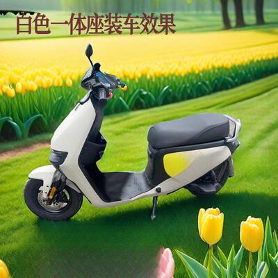 九号电动车0F90MF90fz11改ZK8PYm6G体装一长座垫加长一体座双椅人