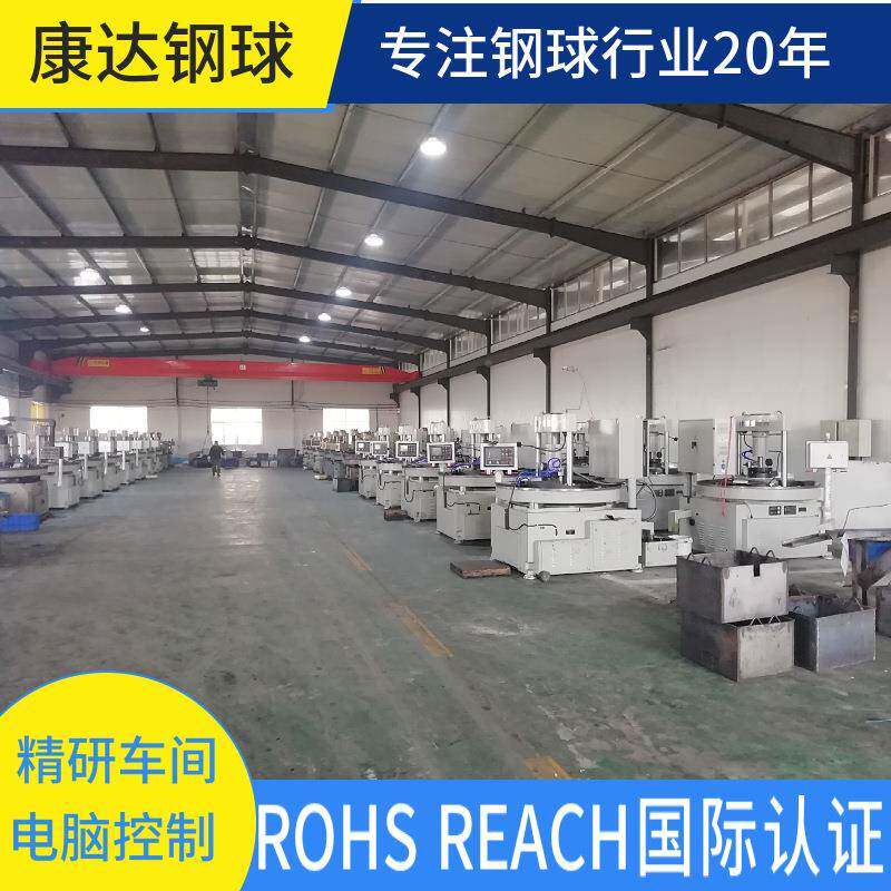 20钢球厂家现供应仪器仪表机械配件精124密年微滚型小货钢珠珠