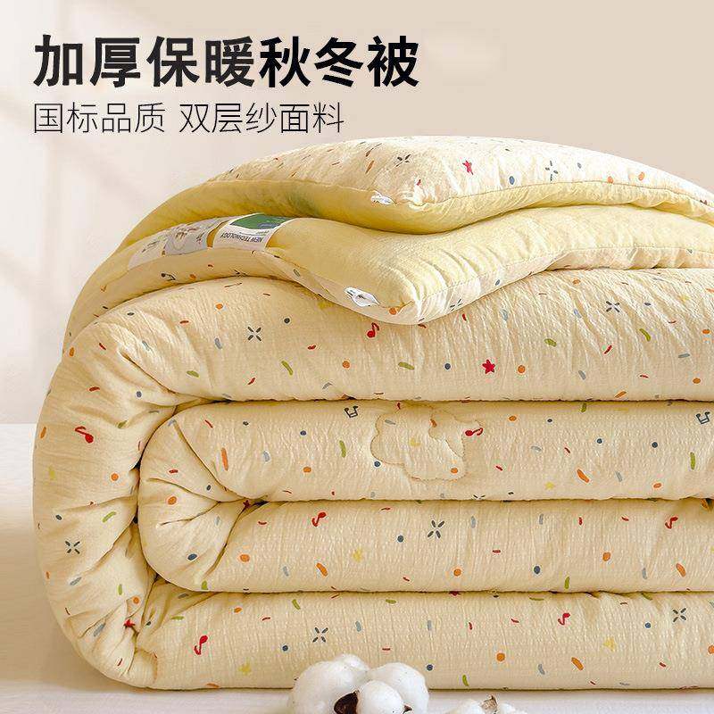 冬季新款棉花被双层纱冬被芯学生宿舍单人四季通用双人被春秋被子
