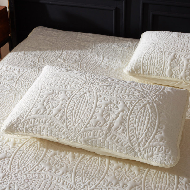 防水枕套防口水头油枕头信封48x74cm防一对保护套枕芯内胆套螨虫