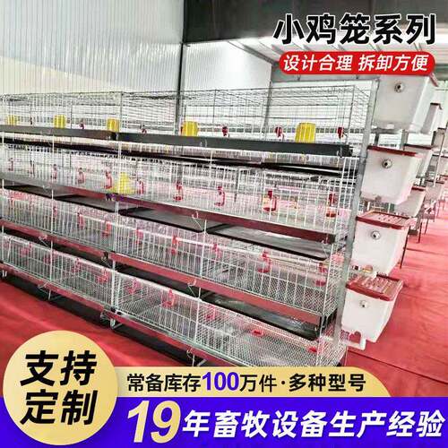 厂家供应加粗丝径育雏鸡笼小型养鸡场雏鸡笼家用养殖小鸡笼生产