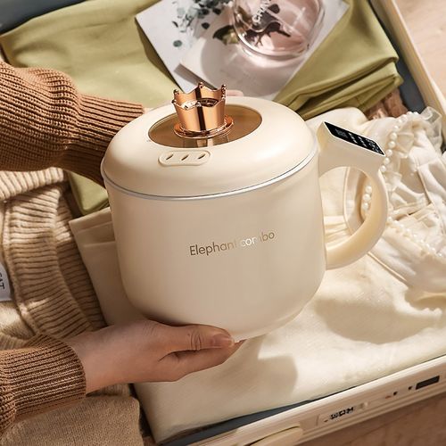 德国电饭煲家用1到2人多功能学生宿舍小型电饭锅小电锅电火锅煮面