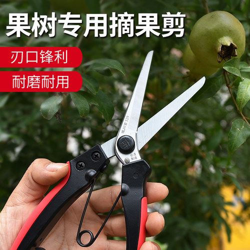 稀果剪刀329果树修枝剪园艺剪园林剪修花剪粗枝剪枝刀省力剪子