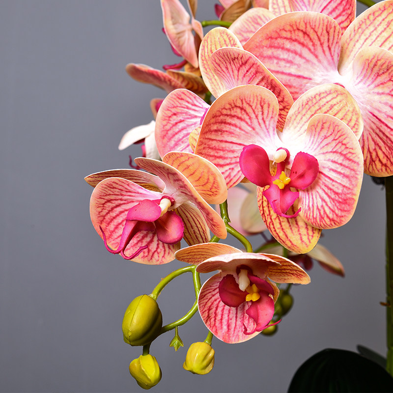 蝴蝶兰仿真花艺客厅摆设餐桌面摆件室内假花卉装饰盆栽塑料电视柜,家居饰品,仿真花/假花,淘宝优惠券,粉丝福利购,淘宝优惠卷