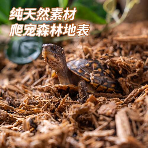 SuperRep爬虫森林地表垫材爬宠蛇陆龟蜥蜴饲养箱天然除臭保湿树皮