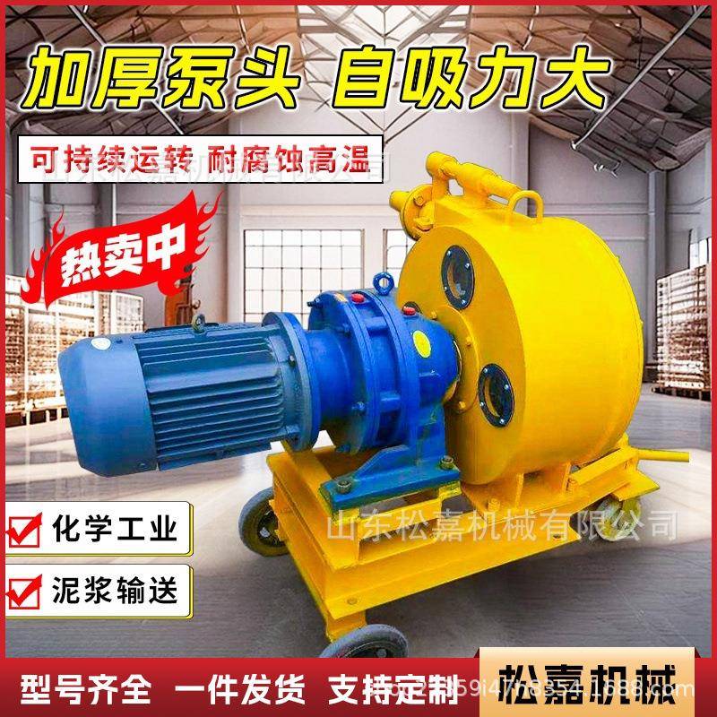 泥浆砂浆工业软管泵挤压式蠕动泵大扬程纸浆发泡胶果蔬化工输送泵
