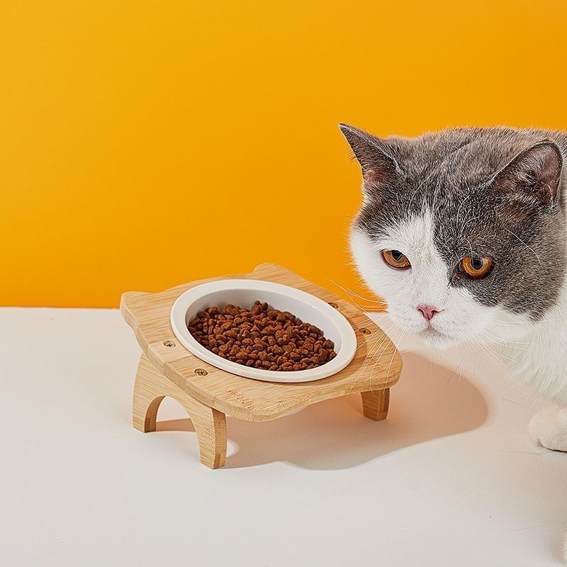 陶瓷猫饭碗实木猫食盆猫碗倾斜护颈猫碗猫咪饭碗猫食碗防打翻陶瓷,宠物/宠物食品及用品,猫狗碗/慢食碗,淘宝优惠券,粉丝福利购,淘宝优惠卷