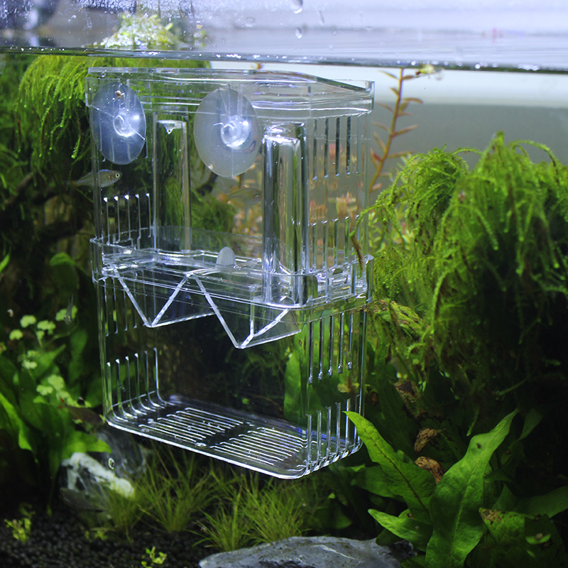 鱼缸亚克力繁殖孵化盒孔雀鱼产卵房幼鱼鱼苗悬浮隔离盒热带鱼繁殖