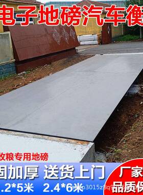 大型EYR地磅子厂家直供100吨20吨0吨50吨20吨10吨工地电汽车8衡地