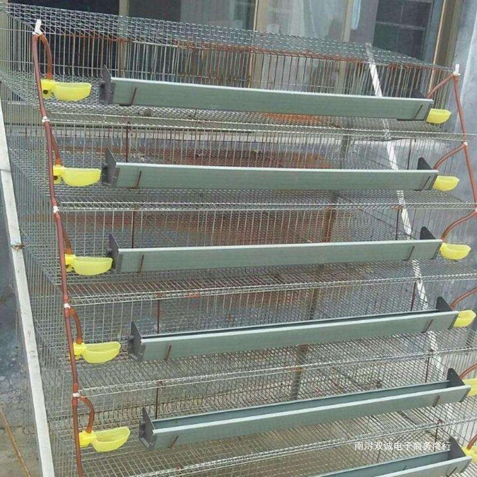 滚蛋鹌鹑笼加粗加密6层鹌鹑自动出蛋养殖场专业笼芦丁鸡笼