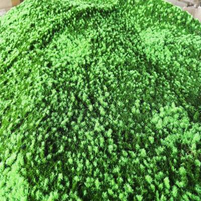 二种颜色仿真苔藓地毯草坪绿青植苔墙园软林窗装假TAH山沙盘橱造