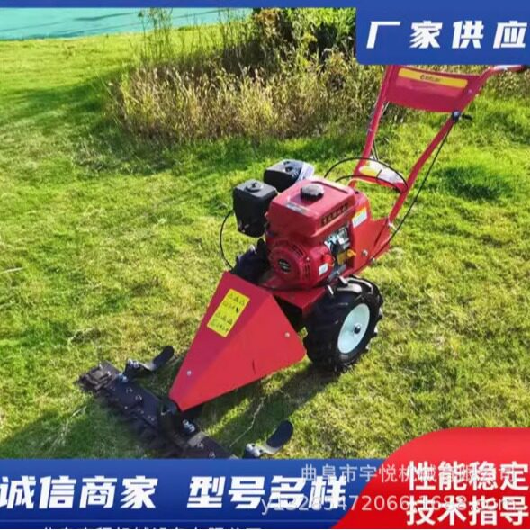自走式草坪修整机 手推式汽油剪草机 园林杂草草坪清理机