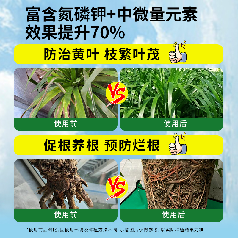 龙血树龙须树专用肥料营养液盆栽植物室内绿植养花肥通用氮磷钾肥