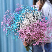 满天星干花花束家居摆设天然风干真花客厅卧室装 饰摆件带瓶干花束