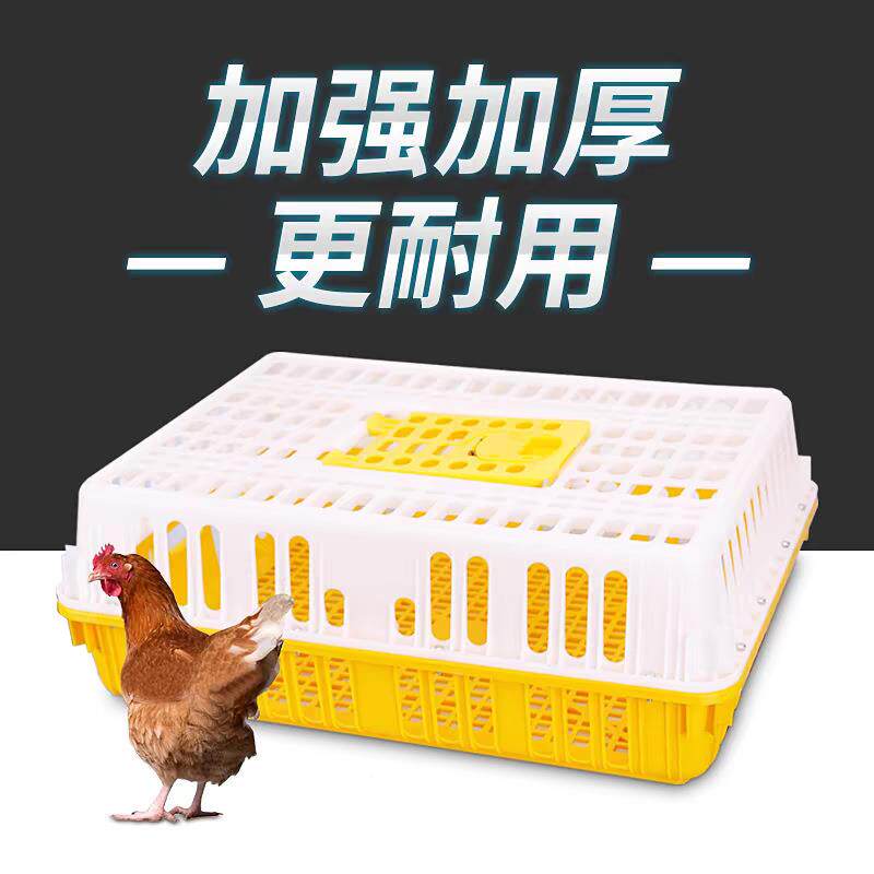 鸡笼子鹅厂家供应鸡YSU鸭笼运输箱周转活禽运输现货供应
