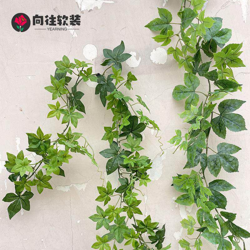 彷真七星叶藤条藤蔓植物叶挂壁管道悬吊式天花板装饰花藤塑料绿色