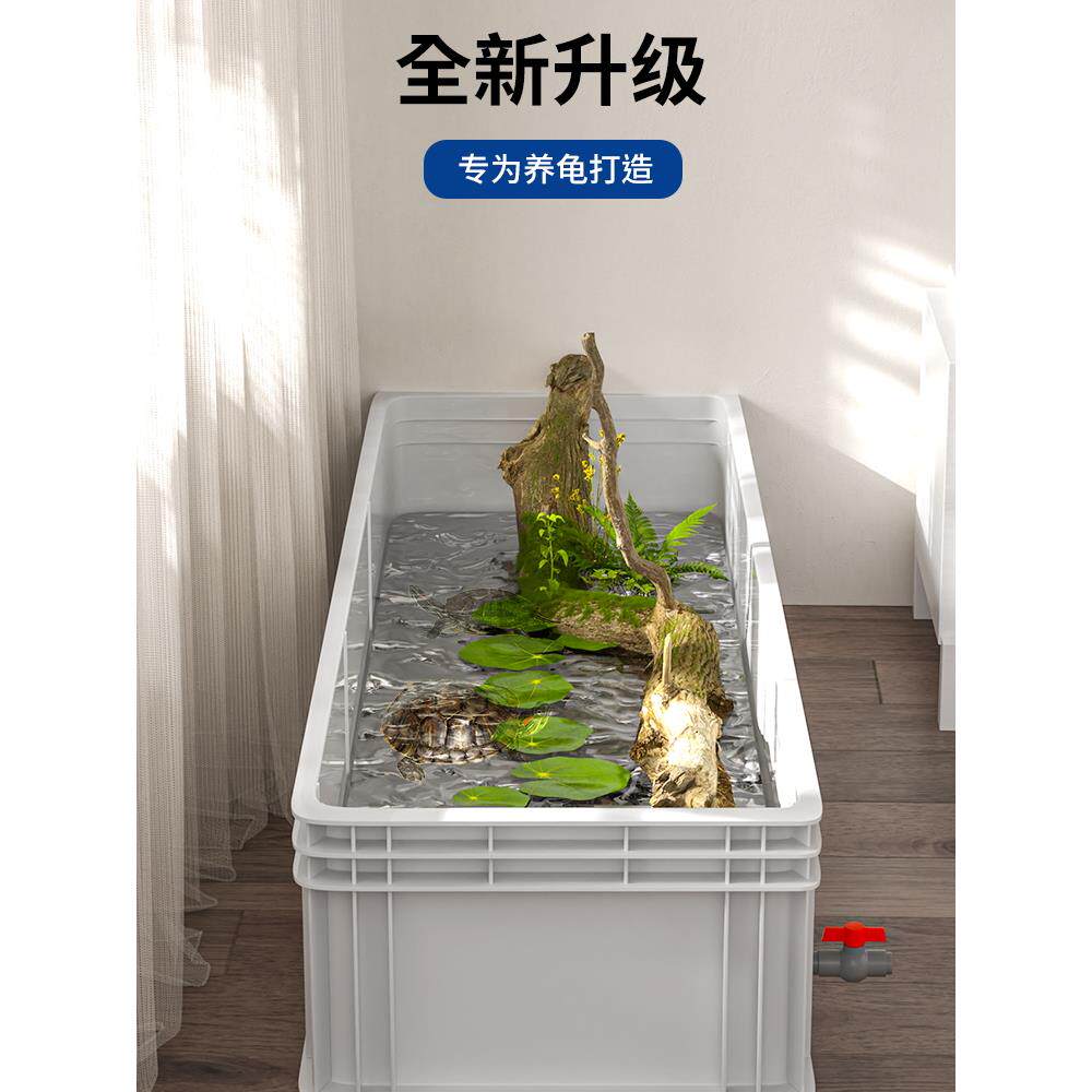乌龟发色盒养龟繁殖箱微景观生态箱塑料鱼缸龟缸乌龟饲养盒生态瓶